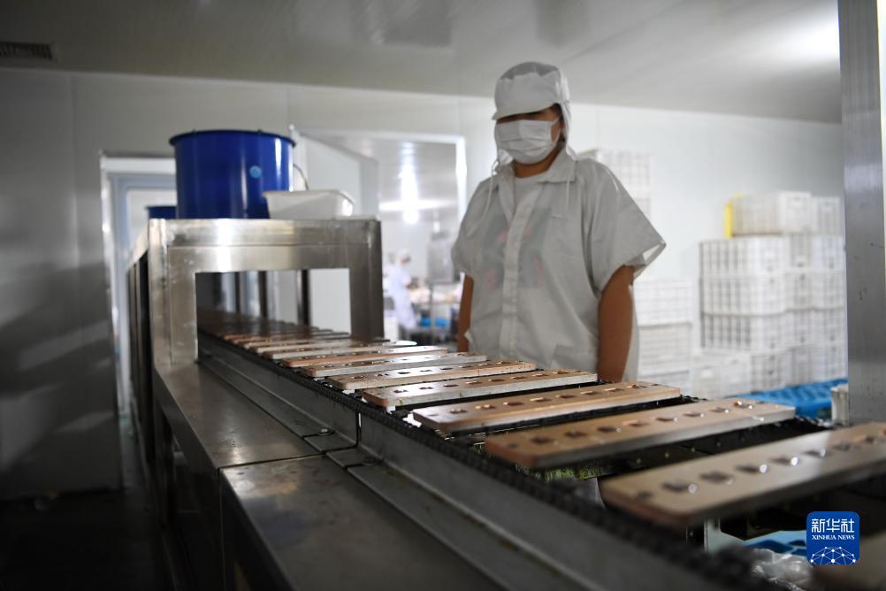 云顶游戏网址是多少